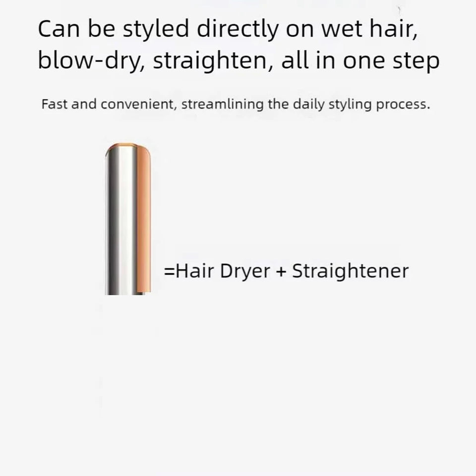 2-in-1 Negative Ion Hair Dryer Multi-Function Straightener