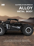 Remote Control Car RC Drift Racing Trucks Kid Toy