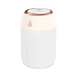 Air Humidifier Portable Aroma Diffuser LED Cool Light for Room