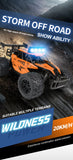 Remote Control Car RC Drift Racing Trucks Kid Toy